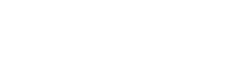 pentair white logo